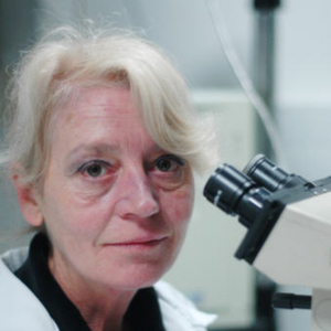 Picture of Estela Matutes