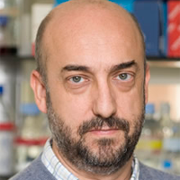 Picture of Dr. Pedro Luis Fernández