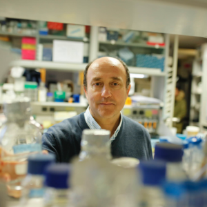 Picture of Jesús Mª Hernández-Rivas